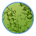 Circle with Foldit Graphic